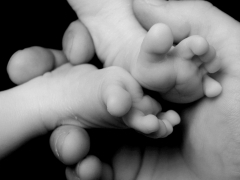 Ellen Litzius - Fotografin