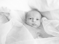 Ellen Litzius - Fotografin