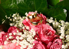 Ellen Litzius - Fotografin