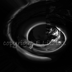 Ellen Litzius - Fotografin