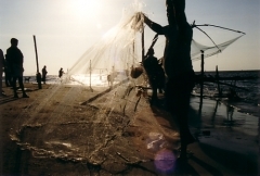 Ellen Litzius - Fotografin