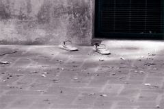 Ellen Litzius - Fotografin