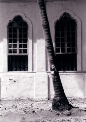 Ellen Litzius - Fotografin